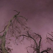 宏スtoxicス宏 六学suicidal