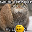Avatar of player марси через свист