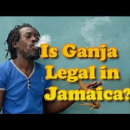 Ganja