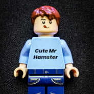 cute mr hamster