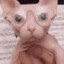 sabun_69