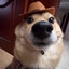 howdy