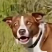 GhopGhopGhop