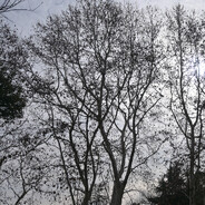 转转转头转转到头断