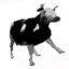 Polishcow