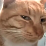 在我下面的是给