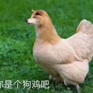 尼古丁真