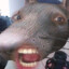 Monster Hunter