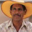 Farmer José