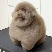 Fat Scoobert