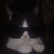 𝕾𝖙𝖚𝖗𝖒𝕽𝖊𝖇