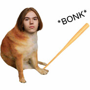 Bonk