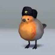 pootis birb(VadeDuck)