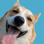 Melo