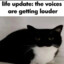 Cleetus_010
