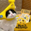 小气猫