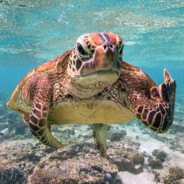 南昌黄易达0找1