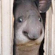 TheTapir