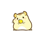 Captain_Hamster