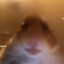 emiliotm9