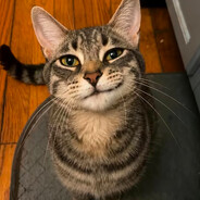 Remmer's avatar