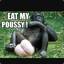 Eat My Poussy