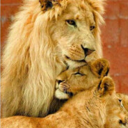 Professional killers