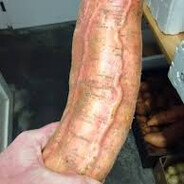 BFTM | Štěpův chlupáč