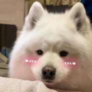 紫菜蛋花汤爱学习不爱游戏