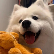 淮中养猪场场长