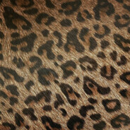 322 - steam id 76561199003942603