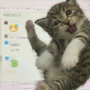 好吃大厨超绝肌肉线条