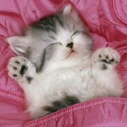 ⸸Mutagen Ebanuty×