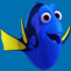 A fish called Dory