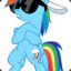 Raindow Dash