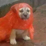 小八小八从小没玛