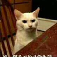 想舔胡桃白袜放嘴里品