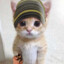 Dima_TX