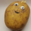 Potato