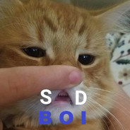 sad boi