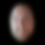 Avatar of Syn