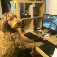 обэк - steam id 76561199228928129