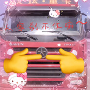 AAA大运重卡李师傅℡₁