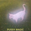 pussy magic 🐈