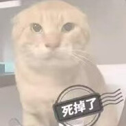 幻影旋转哈气大师