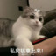 龙傲天