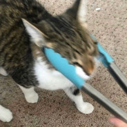 InsertCleverNameHere