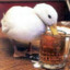 DrunkDuck