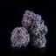 Purple Punch