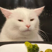 广州市一级啫啫煲总厨